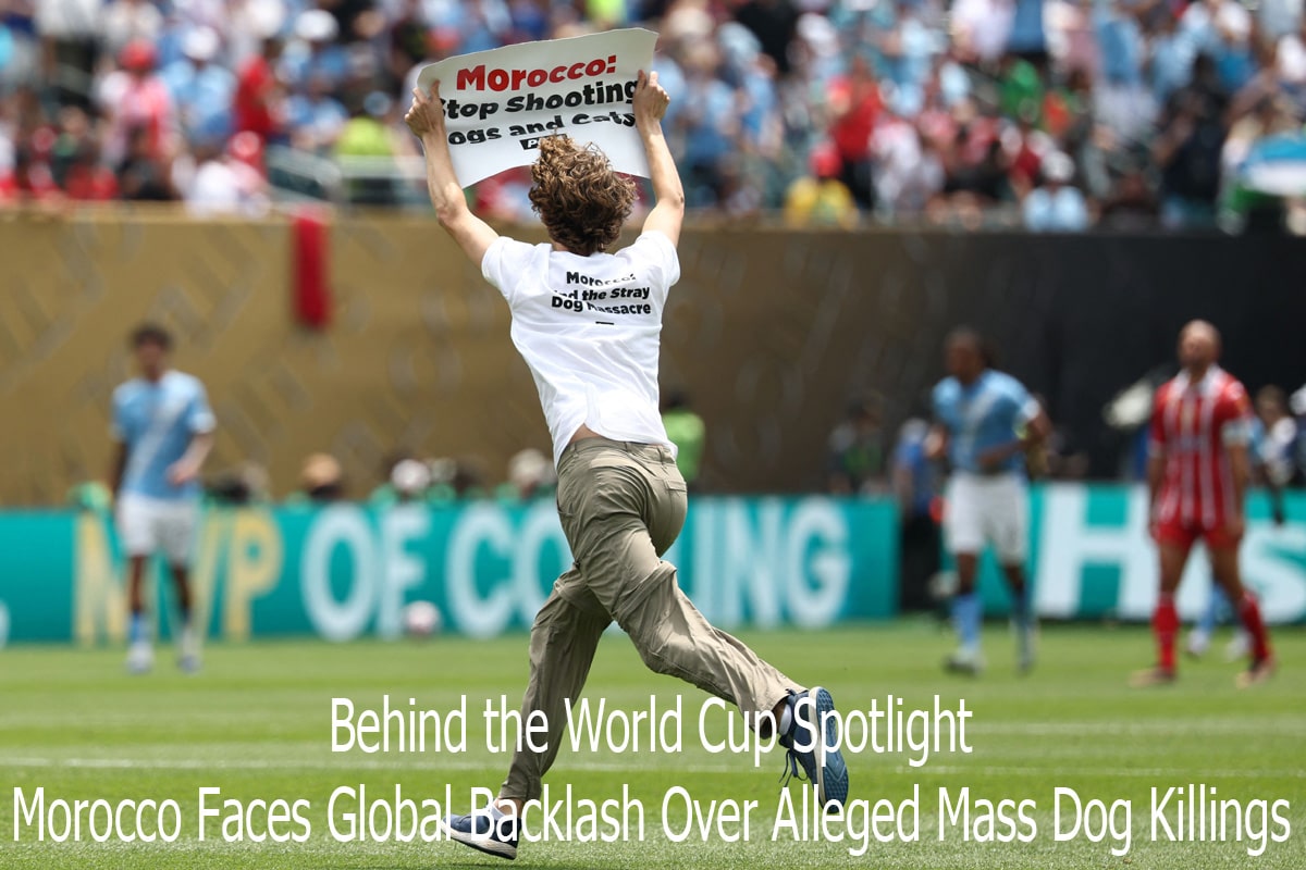 Behind the World Cup Spotlight