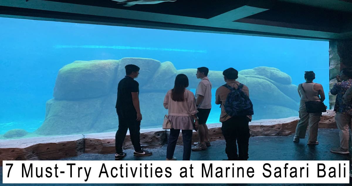 7 Must-Try Activities at Marine Safari Bali